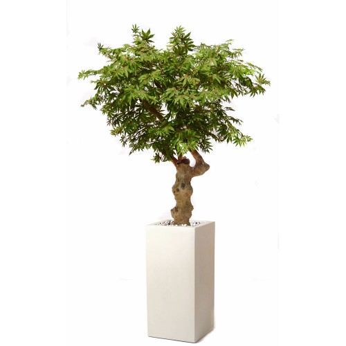 Planta semi-artificiala Ila, Maple Crown Multicolor - 200 cm
